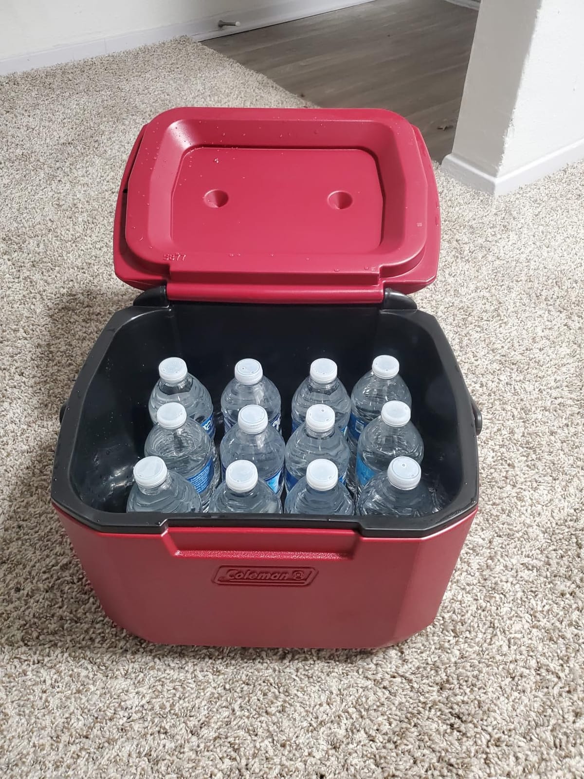 Coleman Chiller 9/16/30/48/60qt Cooler with Ice Retention, Leak Resistant, Great for Camping, Concerts, Sports, and More customer photo 2