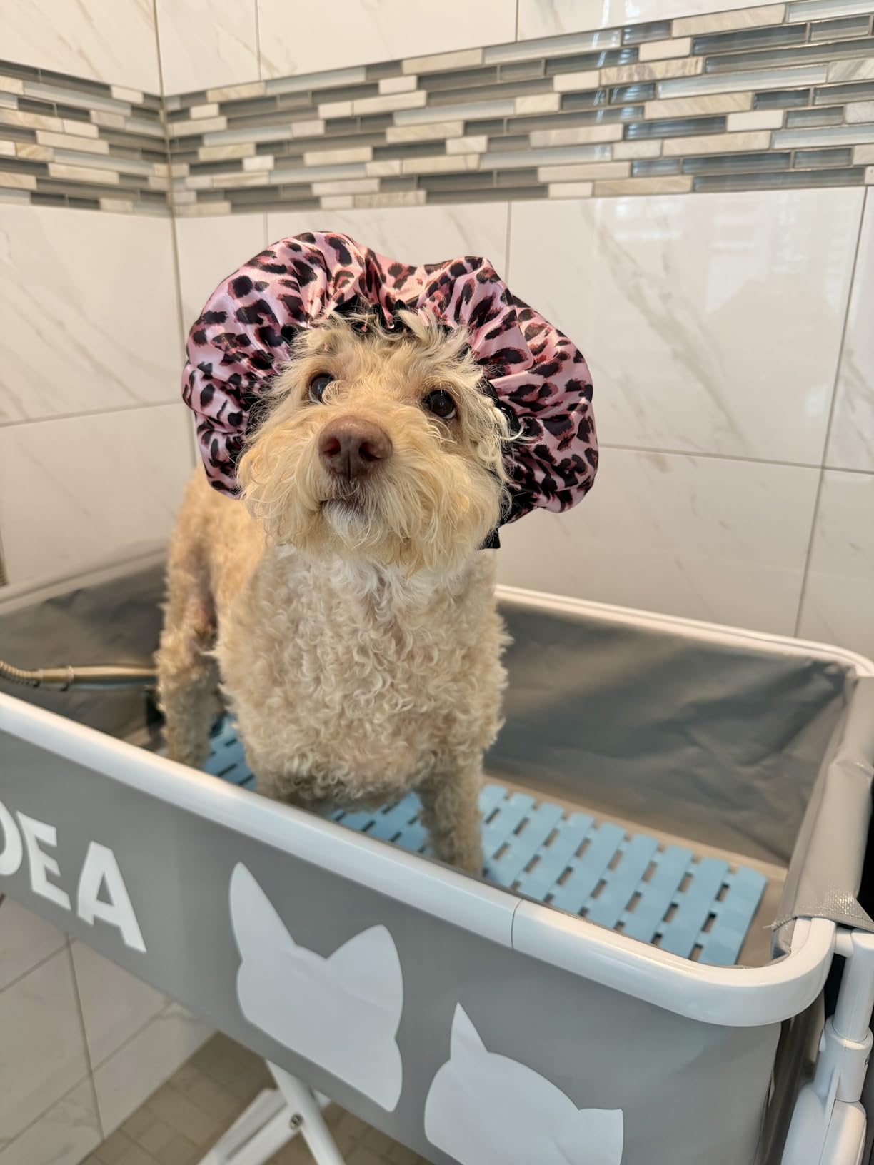 PAWZIDEA 2-in-1 Portable Dog Bathtub & Grooming Table for Medium to Large Dogs up 150lb, 43
