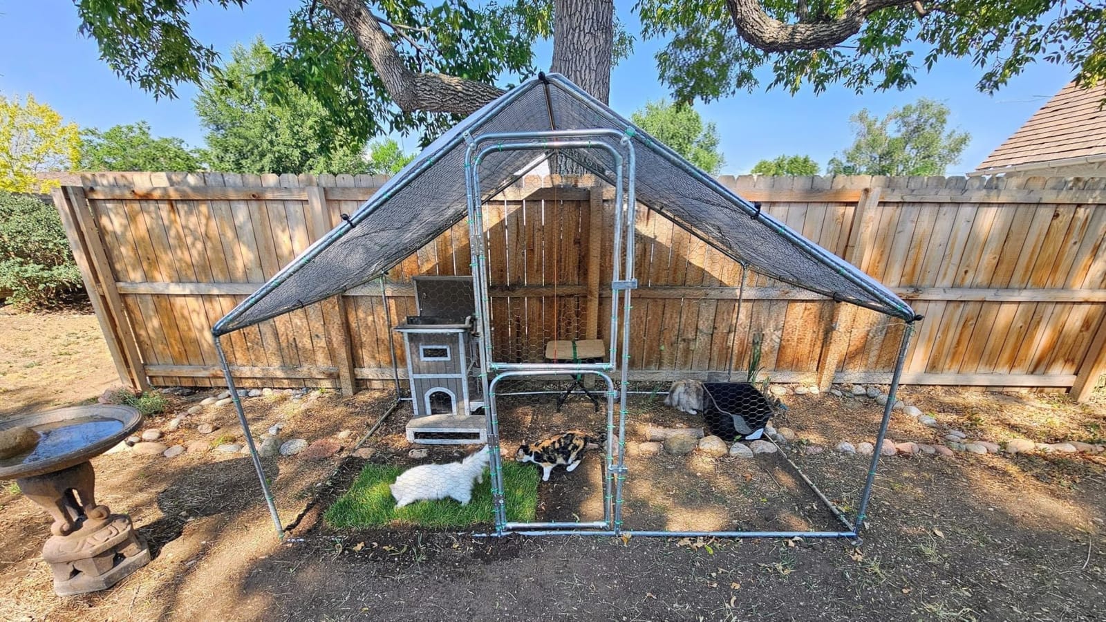UDPATIO Large Metal Chicken Coop Walk in Run House Pen Galvanized Frame | Double Feed Door UV-Resistant Cover Outdoor Cage for Bird Duck Rabbit Hen 6-10 Silver M customer photo 1