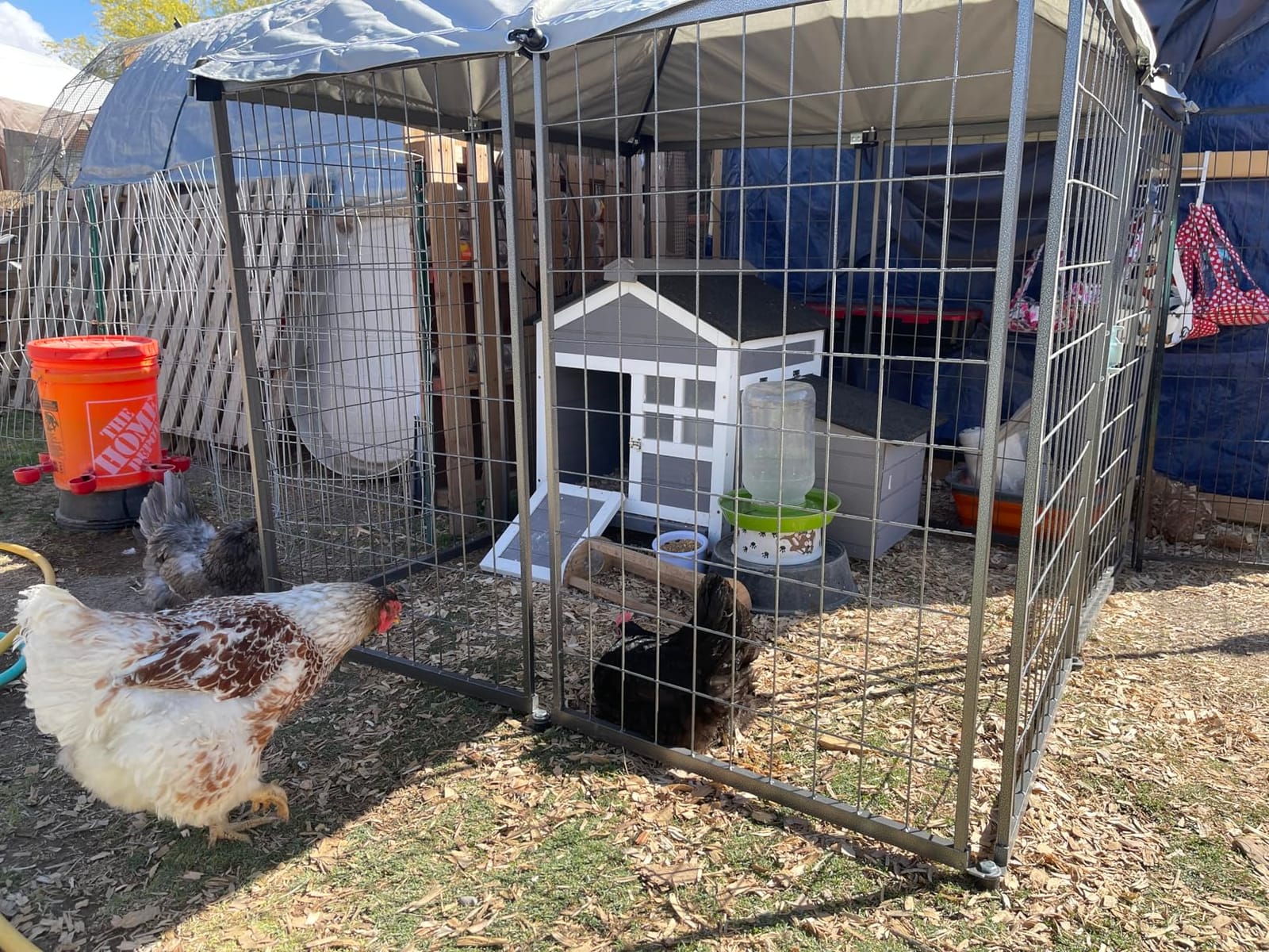 PawHut Chicken Coop Outdoor Weatherproof, Wooden Duck House with Nesting Box, Pull-Out Metal Tray, for 1-2 Chickens, Rabbits, Ducks, Poultry Cage Rabbit Hutch for Backyard, Farm, 36