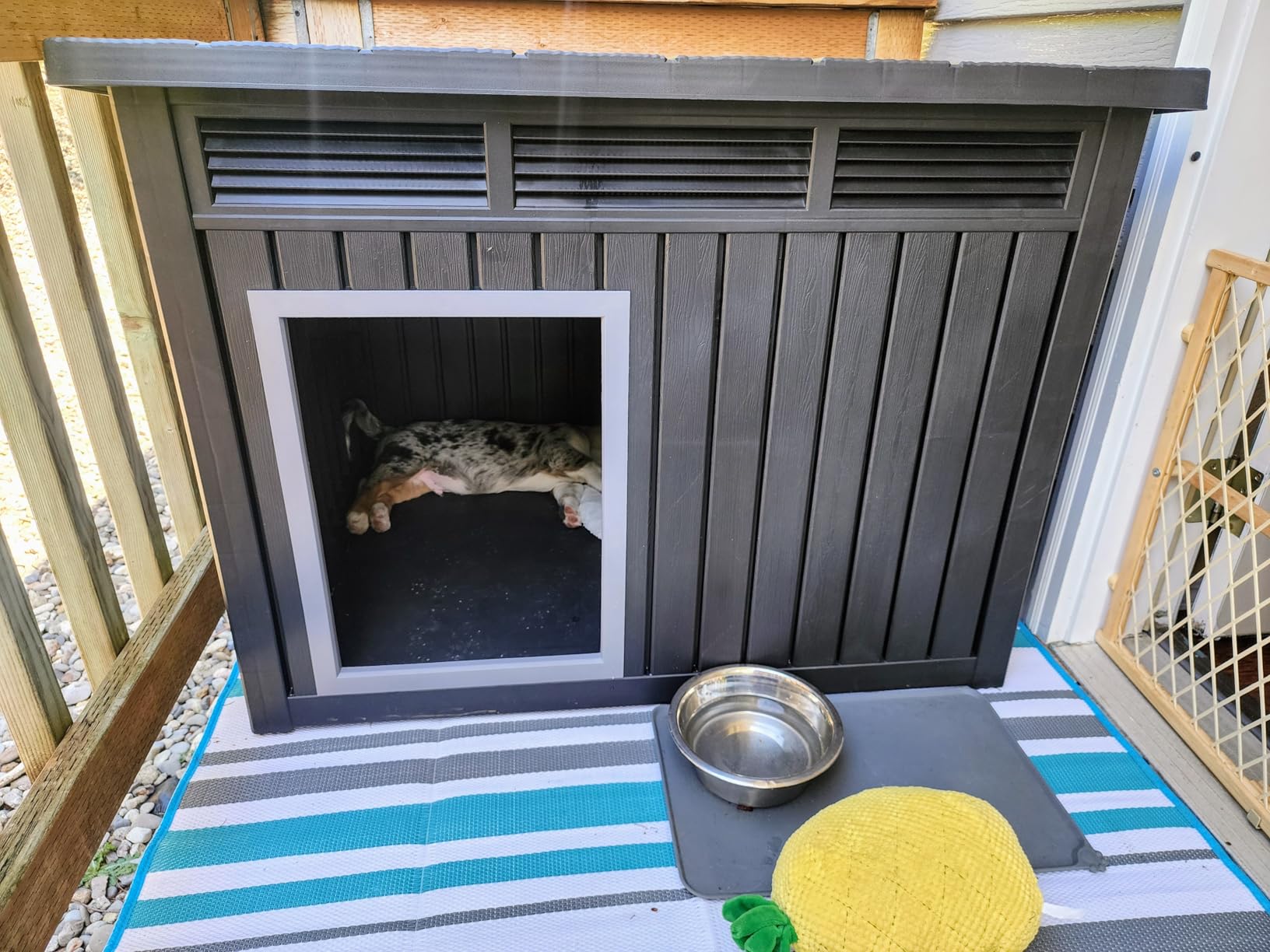 DRATO Indoor & Outdoor Resin Dog House with Raised Floor, Heated Pad and Easy Assembly - Small Breed Shelter Featuring Louvered Vents, Spiked Legs, and Sloped Roof, Black customer photo 1
