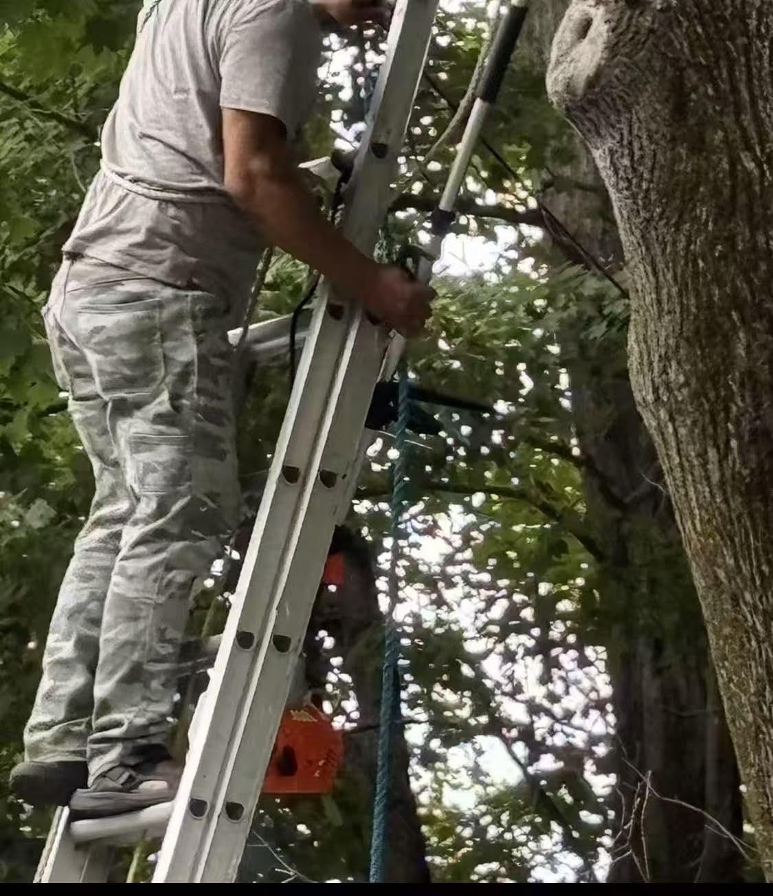 Baotree 48CC Gas Powered Pole Saws, 2 Stroke Gas Powered Pole Saws with 11.5 in Cutting Bar, 16-FT Height Cordless Extendable Long Tree Trimmer Gas Pole Saws for Tree Trimming Branches Pruning customer photo 1