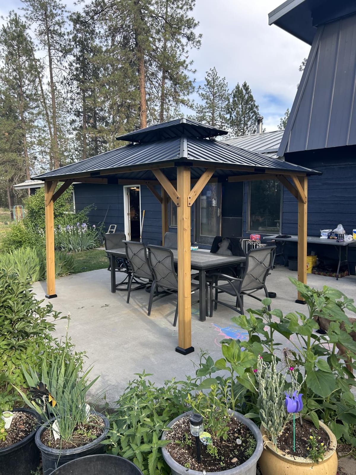 Aoxun 10' x 12' Outdoor Wood Gazebo, Hardtop Gazebo | Permanent Wooden Pavilion with Galvanized Steel Double Roof, for Patio, Garden, Deck, Cedar Wood, Natural customer photo 1