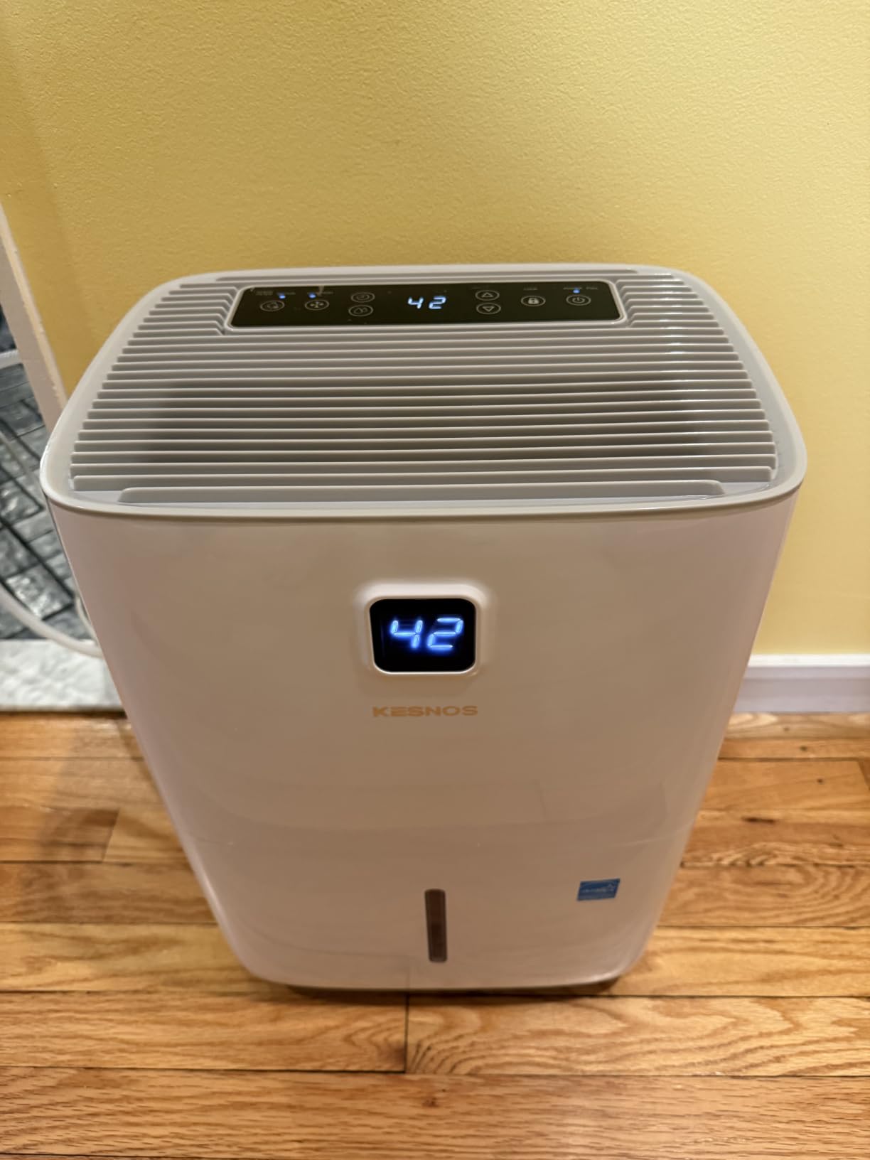 Kesnos 2,500 Sq. Ft. Energy Star Dehumidifier for Basement with Drain Hose | Ultra Quiet 36 dB, 0.39-Gallon Water Tank, 4 Pre-Set Modes, Auto Defrost, Timer, Ideal for Home, Bedroom, Bathroom, etc. customer photo 1