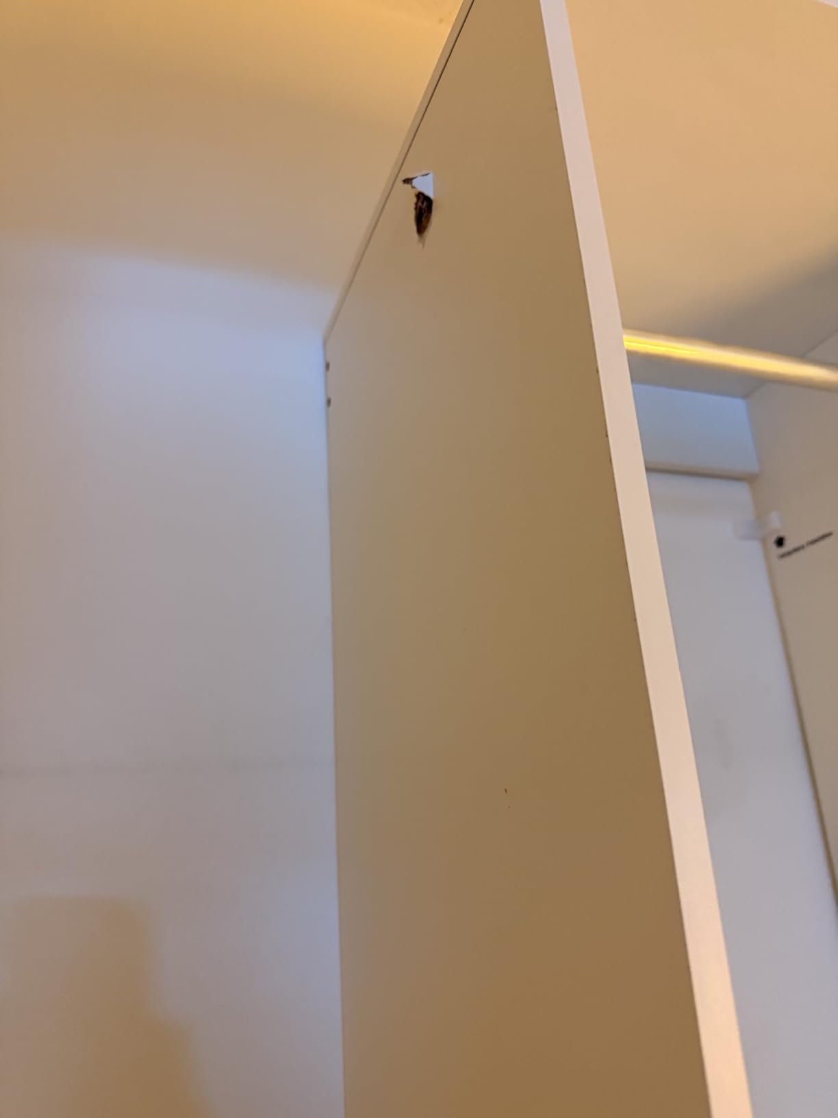 SONGMICS Closet System, Customizable Walk-In Closet Organizer System | Fits Spaces 6.5-10.2 ft with Adjustable Hanging Rods and Drawers, White, CUSTOS Collection URGR043WZ01S customer photo 2