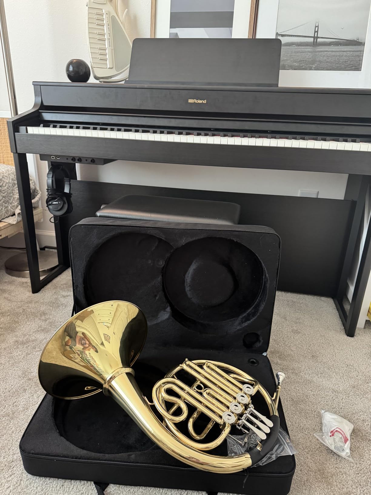 Double French Horn F/Bb Key, Professional 4-Valve Nickel-Plated & Gold Lacquer Brass - Includes Case, Mouthpiece, Gloves & Cleaning Cloth for Students, Musicians & Orchestra Use customer photo 1