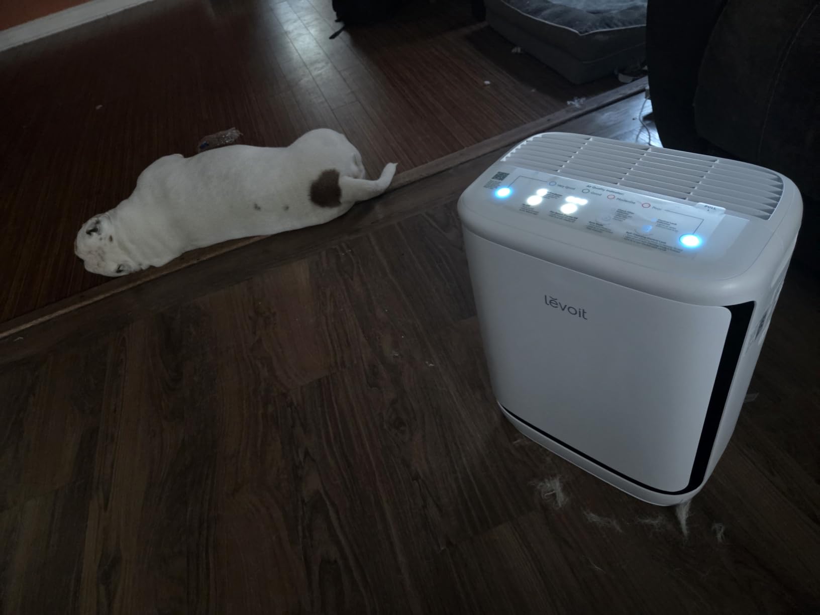 LEVOIT Smart Pet Air Purifier for Home Pets Large Room, Vital Pet Pro, White | Auto-Clean Pre-Filter, Dual Sensors for Floating Pet Hair, Allergens, High-Carbon Filter for Dander, Odor, Remote APP Control customer photo 1