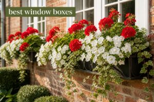 best window boxes