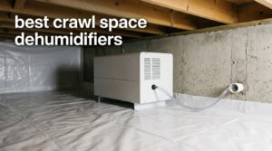 best crawl space dehumidifiers