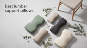 best lumbar support pillows