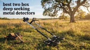 best two box deep seeking metal detectors