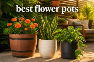 best flower pots
