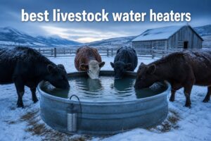 best livestock water heaters