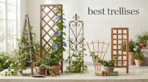 best trellises
