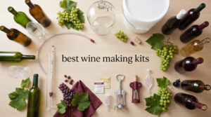 best wine making kits