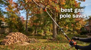 best gas pole saws