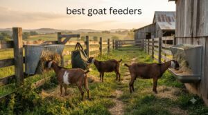 best goat feeders
