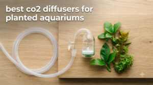 best co2 diffusers for planted aquariums