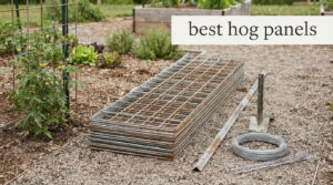 best hog panels