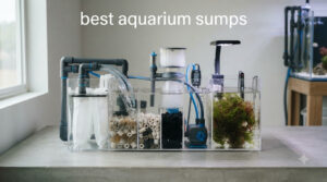 best aquarium sumps