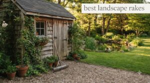 best landscape rakes