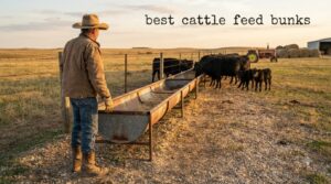 best cattle feed bunks