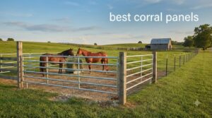 best corral panels