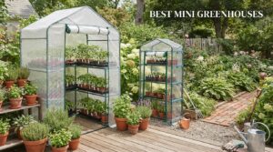 best mini greenhouses