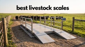 best livestock scales