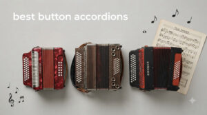 best button accordions