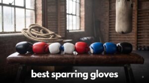 best sparring gloves