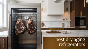 best dry aging refrigerators