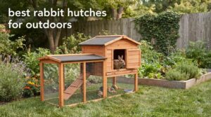 best rabbit hutches for outdoors