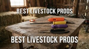 best livestock prods