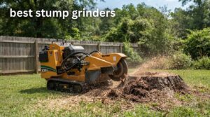 best stump grinders