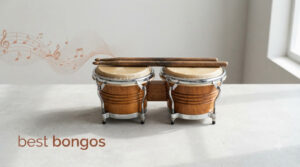 best bongos