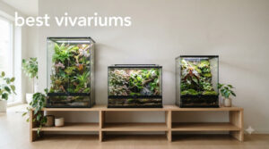 best vivariums