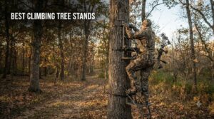 best climbing tree stands