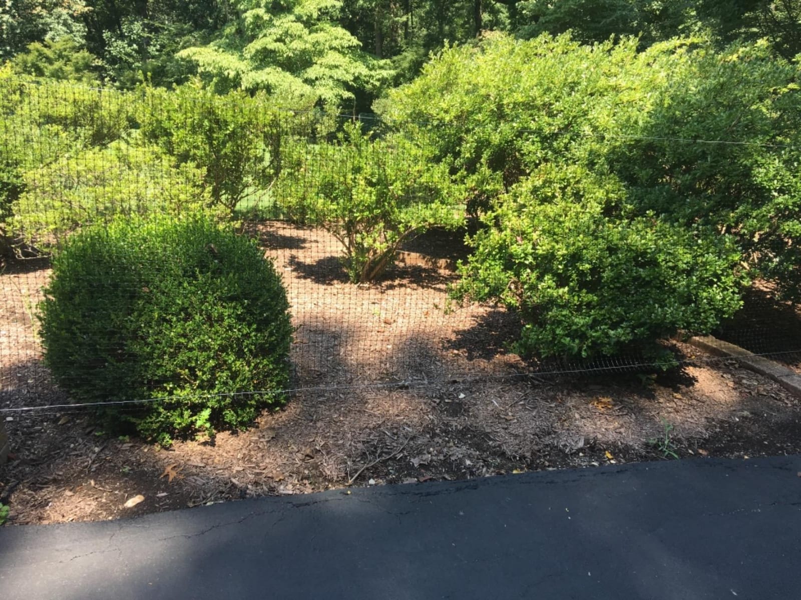 Jobes Jobe’s LG400171 Deer Barrier Fencing, 7 ft x 100 ft, Black customer photo 1