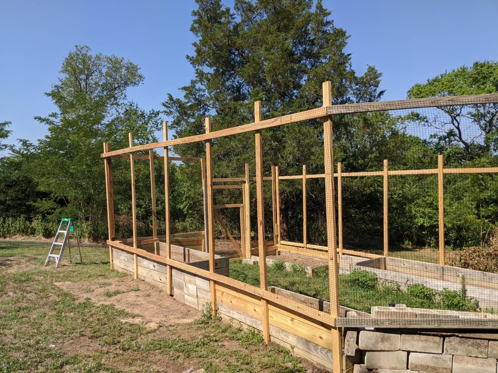 Jobes Jobe’s LG400171 Deer Barrier Fencing, 7 ft x 100 ft, Black customer photo 2