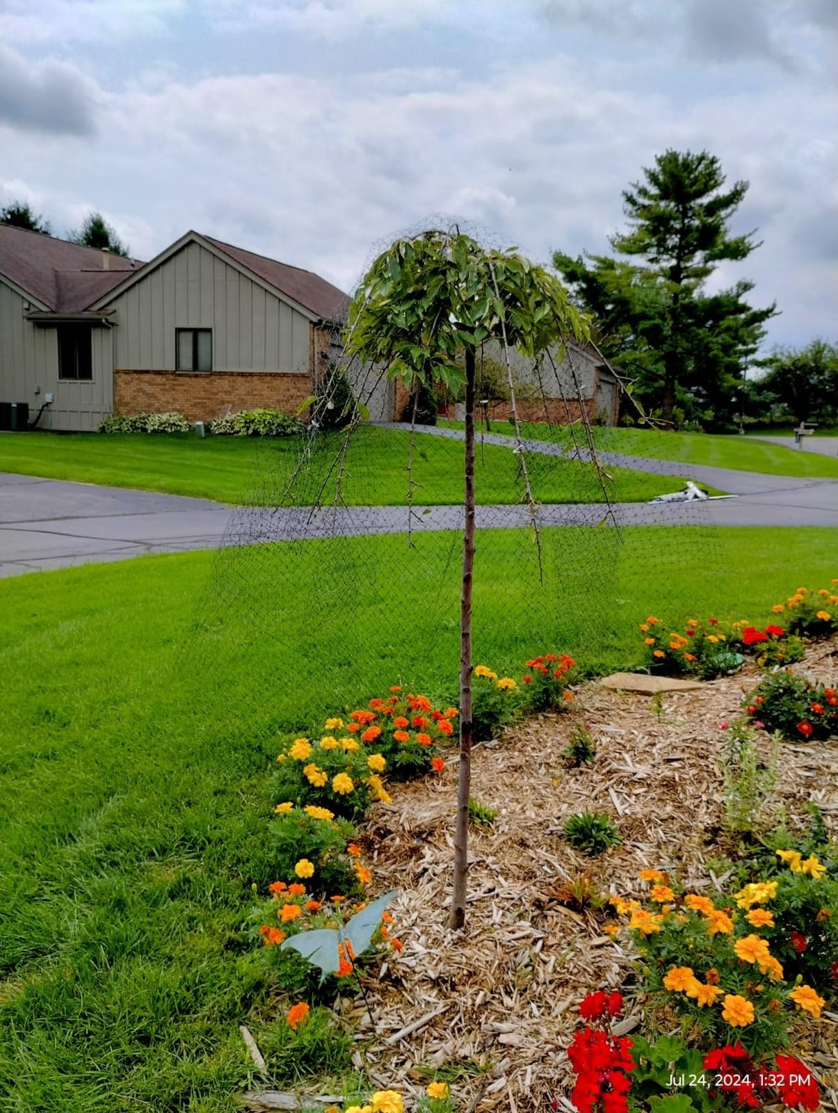 Dalen Deer-X Protective Netting for Gardens & Landscapes - 7 ft x 100 ft customer photo 1
