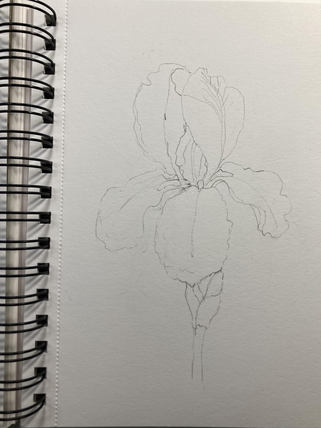 Pentel GraphGear 1000 Mechanical Pencil, (0.5mm) Point Size, Black Barrel, 1 Each (PG1015A) customer photo 2