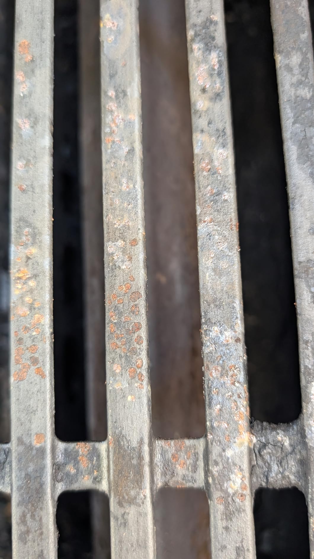 Weber® Porcelain‑Enameled Cast‑Iron Grates for Select Genesis® Grills customer photo 1