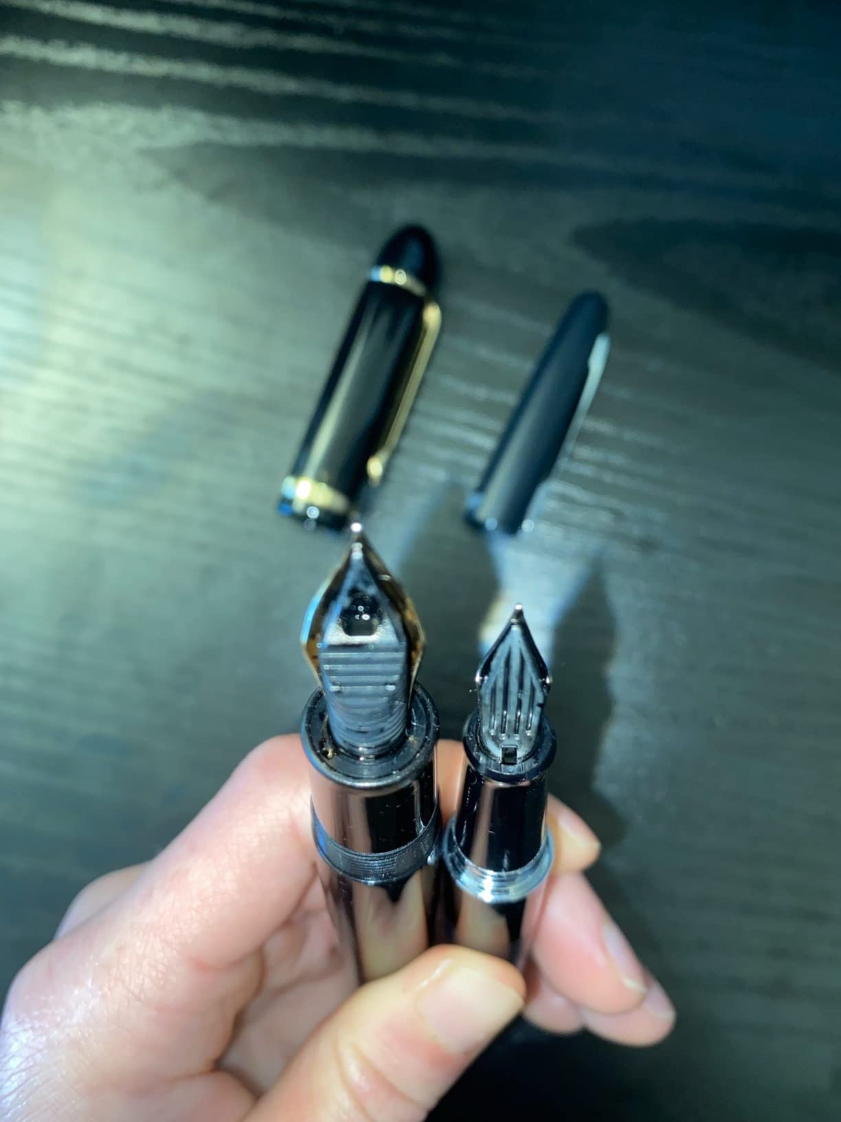 Platinum Carbon Ink Bottle 60ml - Black customer photo 1