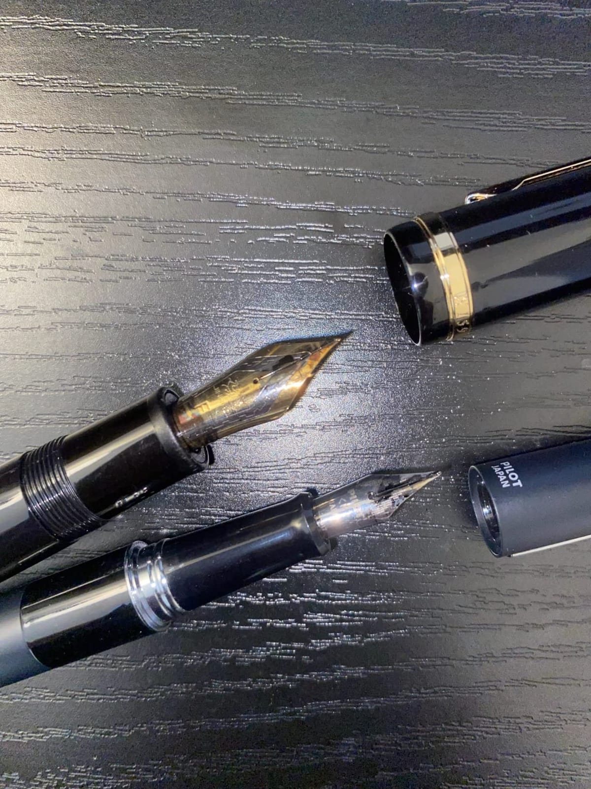 Platinum Carbon Ink Bottle 60ml - Black customer photo 2