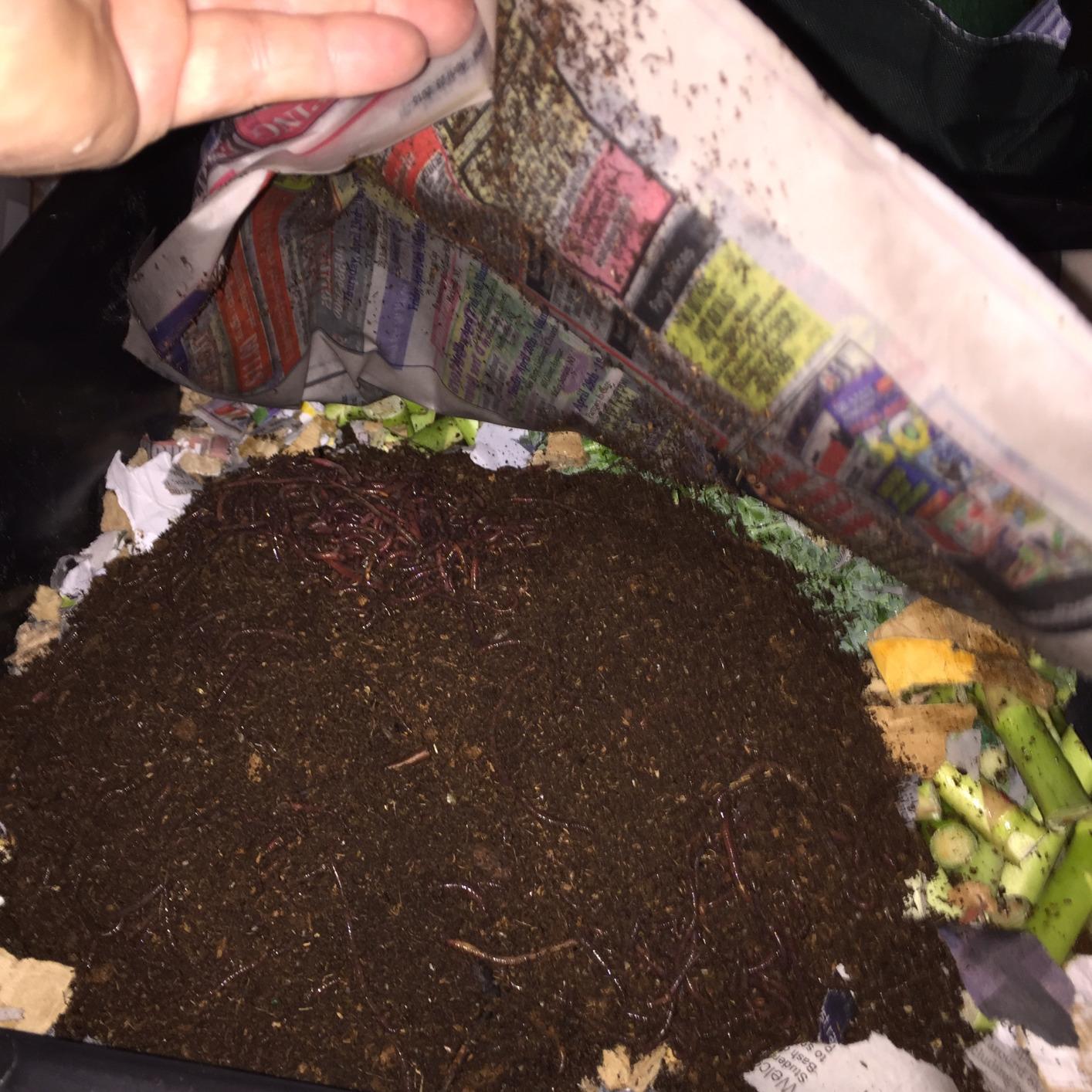 Worm Factory 360 Black US Made Composting System for Recycling Food Waste at Home - 4 Trays for Efficient Vermicomposting - Durable, Space-Efficient Design, Easy to Assemble, No Odor customer photo 1