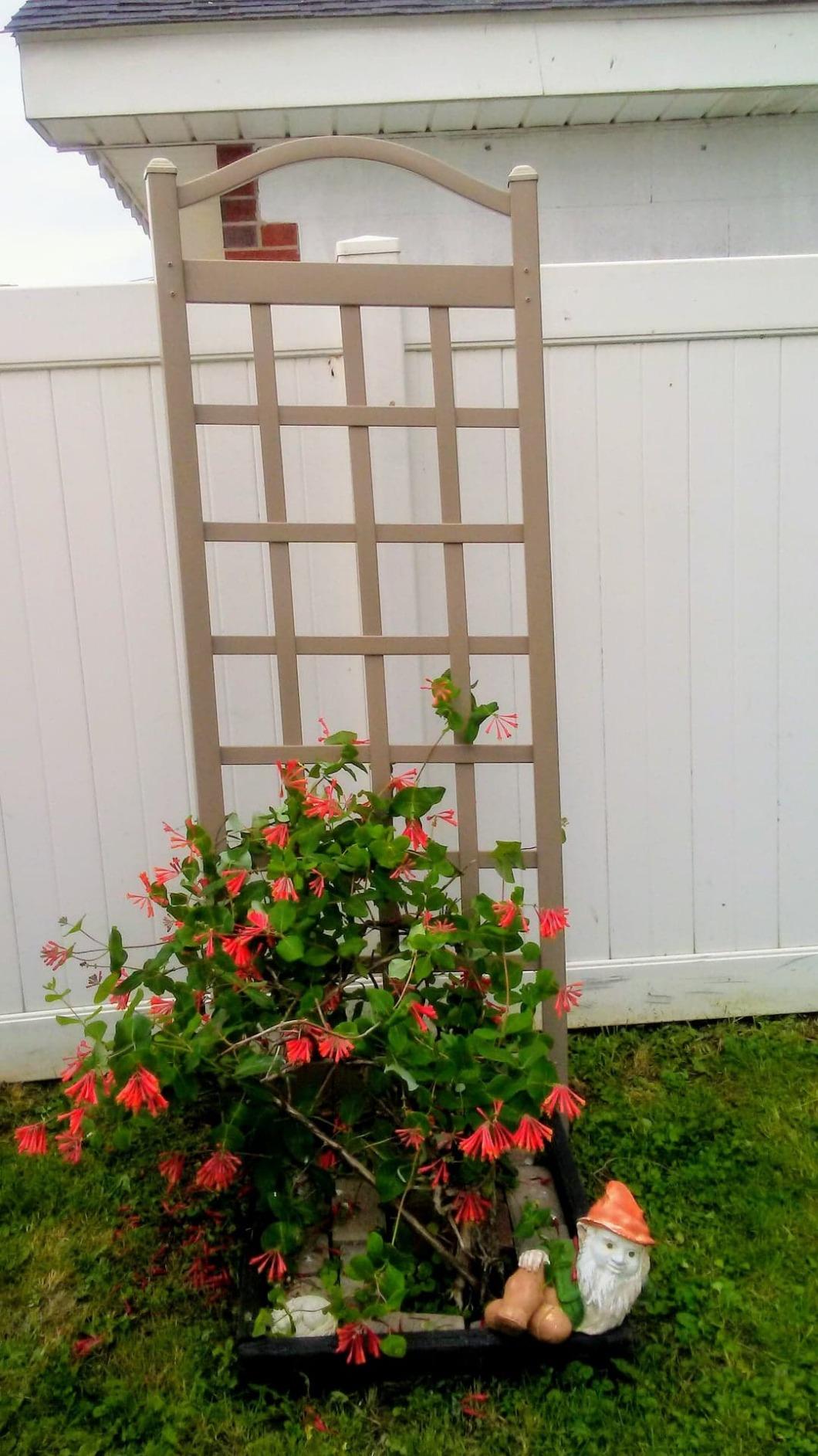 Dura-Trel Cambridge Wall Mounted Garden Vinyl Trellis, 28