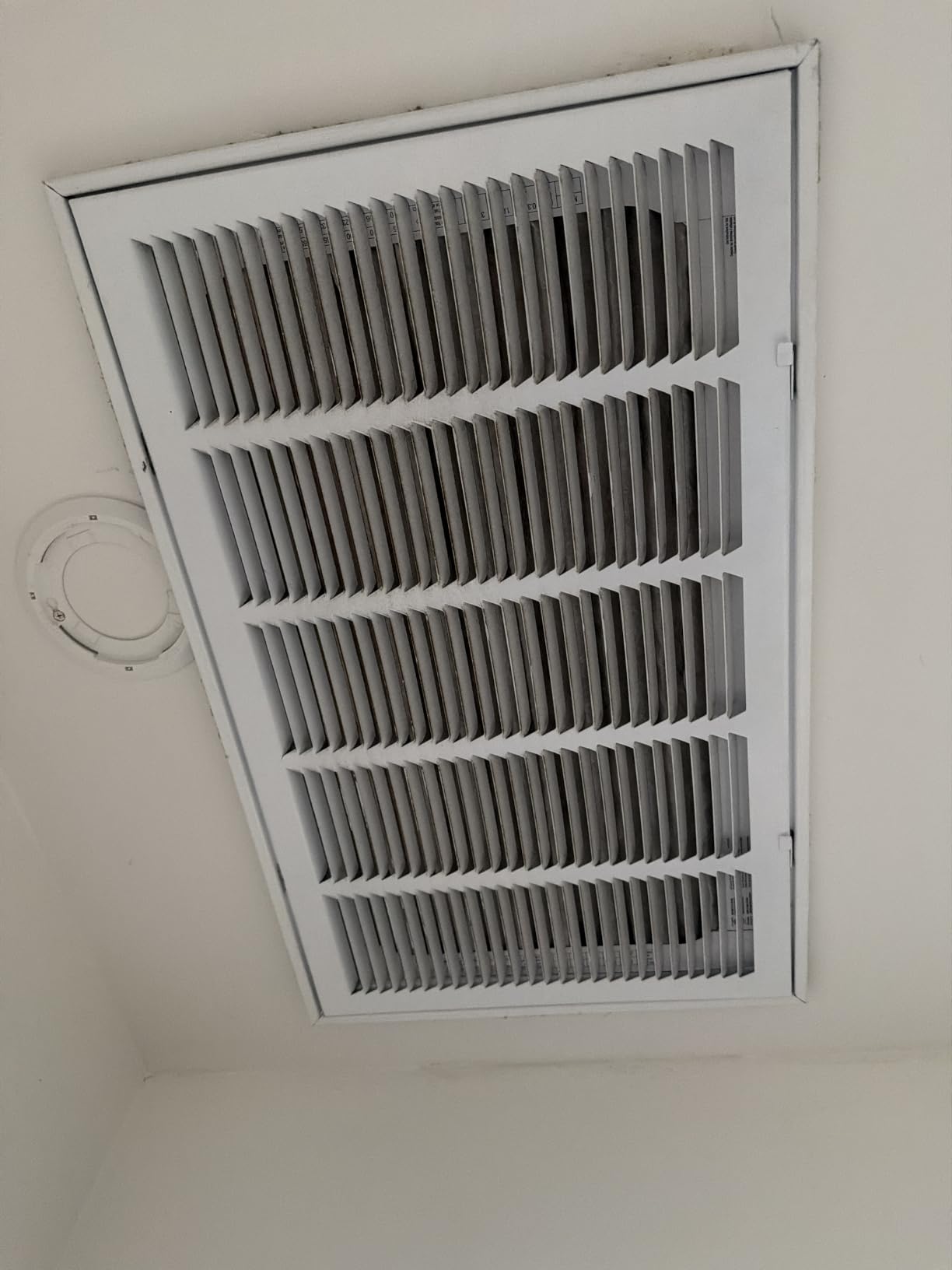 Filtrete 20x25x1 Air Filter, MERV 11, MPR 1000, Allergens & Pet Dander, 3-Month AC and Furnace Filters, Cleaner Air, Reliable Airflow, 2 HVAC Filters (Actual Size 19.68 x 24.68 x 0.81 in) customer photo 1