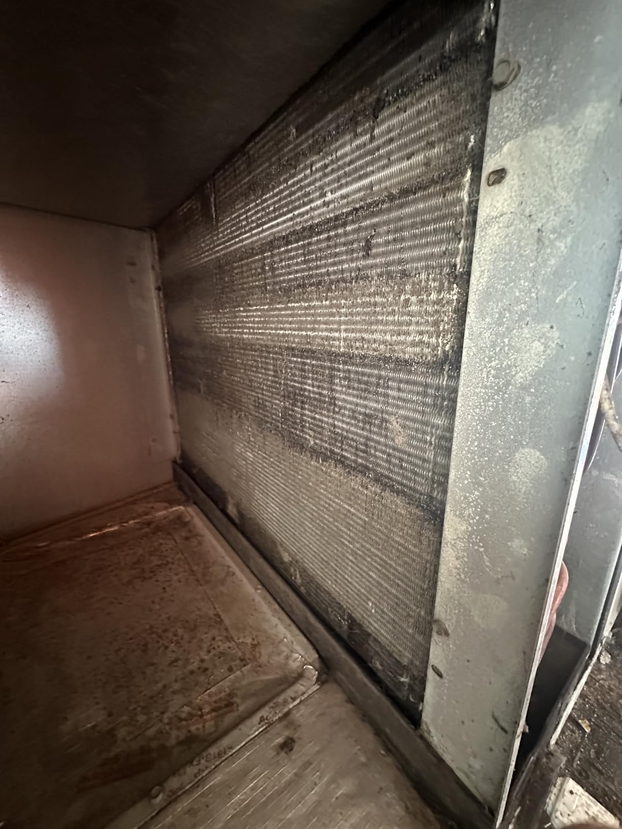Filtrete 16x25x1 Air Filter, MERV 11, MPR 1000, Allergens & Pet Dander, 3-Month AC and Furnace Filters, Cleaner Air, Reliable Airflow, 2 HVAC Filters (Actual Size 15.68 x 24.68 x 0.81 in) customer photo 1