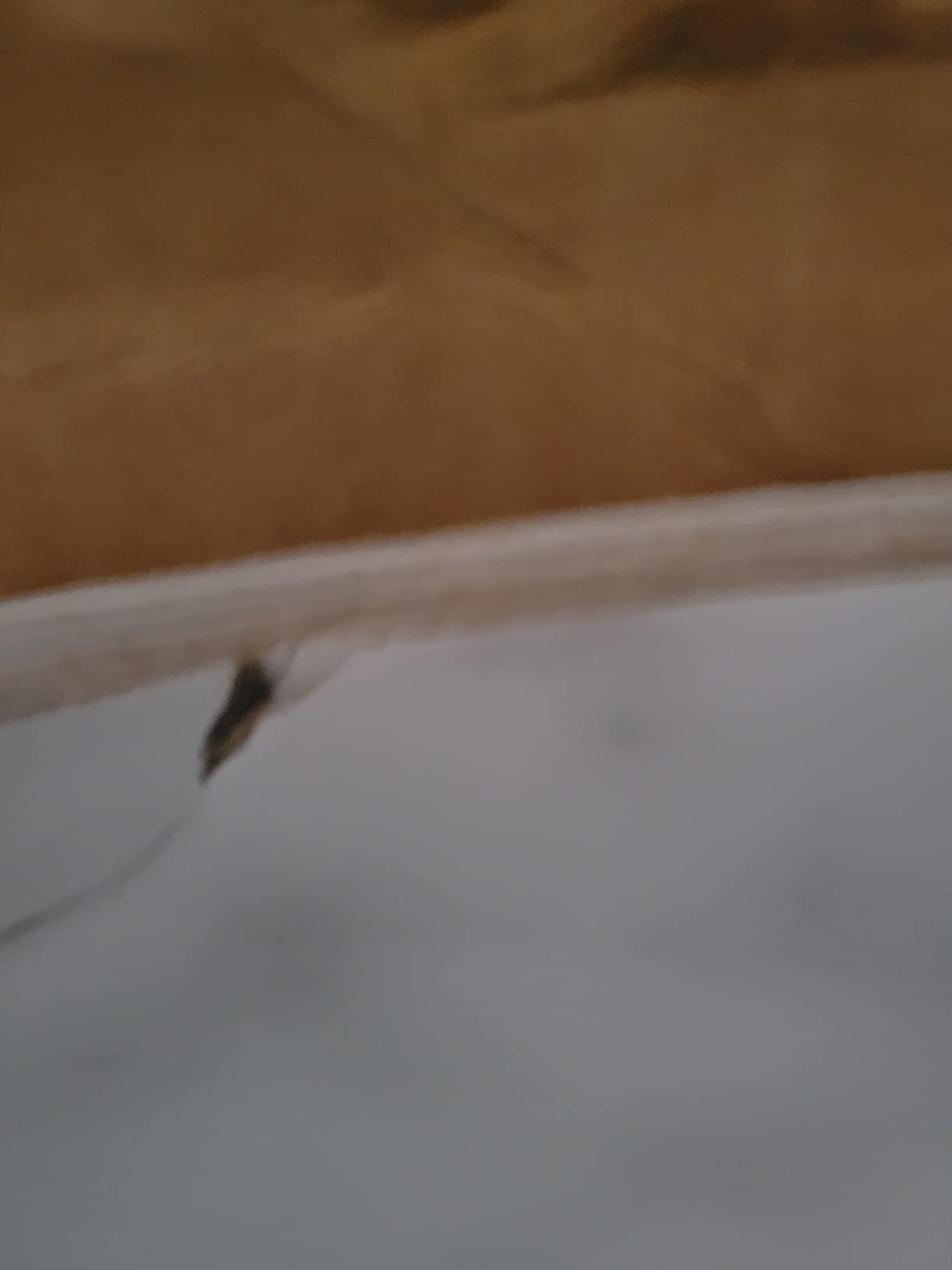 Formica 180fx Sheet Laminate 5 x 12: Calacatta Marble customer photo 2